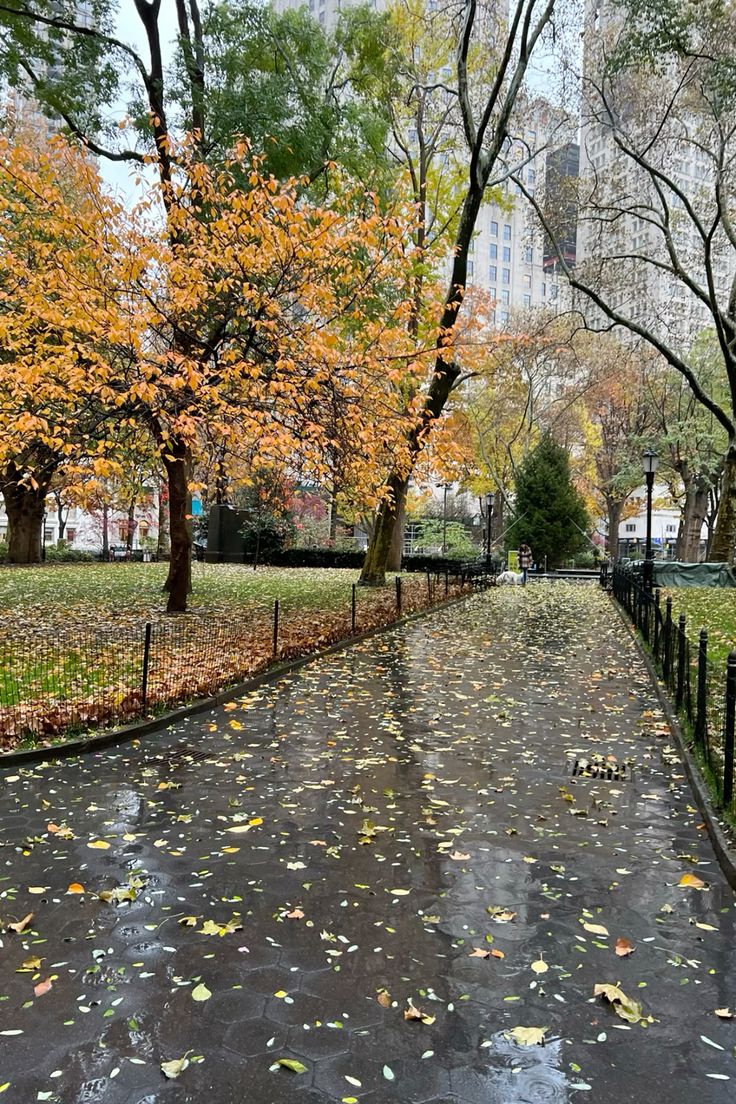 Fall is a Time for Change | Learn something new and tackling end of the year&nbsp;goals