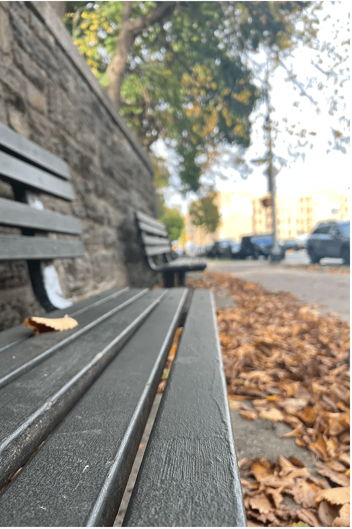 Perfect Fall NYC Solo Date&nbsp;Itinerary